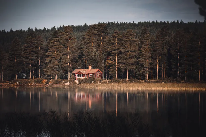 Gone for Real: What Scandinavians Understand About Disappearing Completely